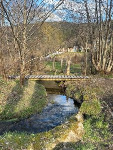Moselotte - la Bresse